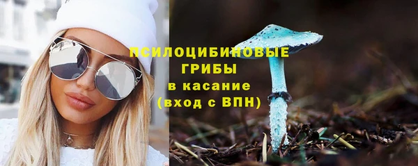 бошки Абинск