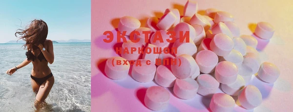 СК Алексин